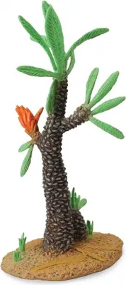 Obrázok produktu pre COLLECTA Williamsonia-Baum