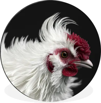 Produktbild von MuchoWow® Aluminium Wandkreis Huhn - Vogel - Schwarz Ø 90 cm Wanddeko Modern Wohnzimmer - Mauerkreis - Wandbilder - Runde Bild - Bild aus Aluminium - Schlafzimmer - Wohnzimmerdekoration - Wand Dekoration