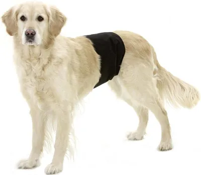 Immagine prodotto di Pantaloni protettivi per cani Karlie per maschi neri Gentleman Wraps Plus, taglia:L 40 cm L 10 cm