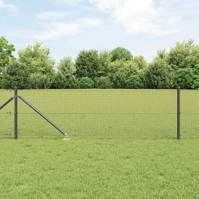 Obrázek produktu pro Svařované drátěné ploty s hroty 25 x 0,8 m (Š x V)