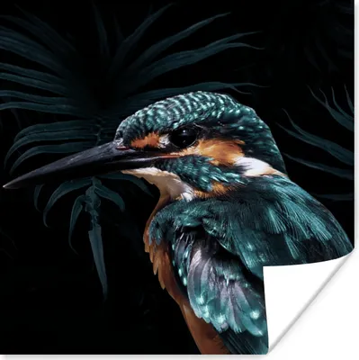 Produktbild von MuchoWow® Poster Eisvogel - Vogel - Grün 30x30 cm - Wandposter - Printing