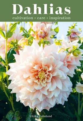Obrázek produktu pro Dahlias