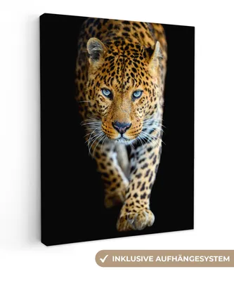 Obrázok produktu pre MuchoWow® - Plátno - Leopard - Zvieratá - Portrét - Divoká príroda - Čierna, fototapeta, nástenné dekorácie obrazy obývacia izba, 60x80cm