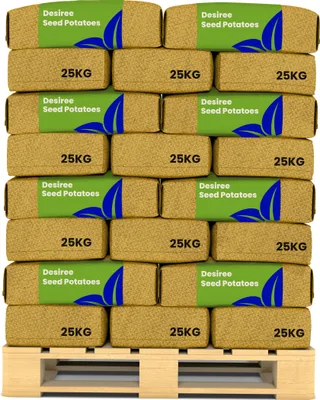 Obrázek produktu pro Sadbové brambory Desiree A 28/35 (40x = 1000 kg) - Organifer