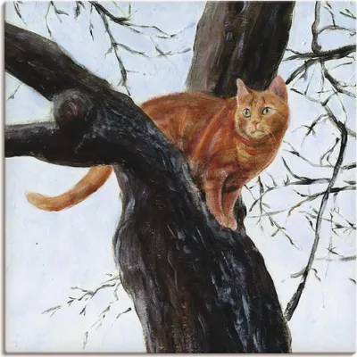 Produktbild von ARTland Leinwandbild Katze im Baum Größe: 50x50 cm