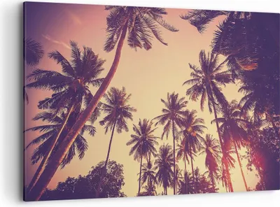Produktbild von Bild auf Leinwand - Leinwandbild - Einteilig - Palmen Himmel Sonne - 120x80cm - Wand Bild - Wanddeko - Wandbilder - Leinwanddruck - Bilder - Wanddekoration - Leinwand bilder - Wandbild - AA120x80-4220