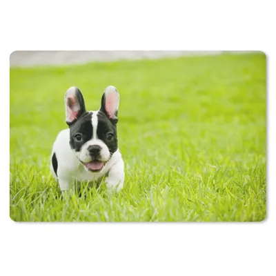 Produktbild von MuchoWow® Mauspad Mousepad Französische Bulldogge - Welpe - Gras 27x18 cm - Mousepads - Maus Mat - Pad - Mausunterlage - Büroartikel - Desk Matten