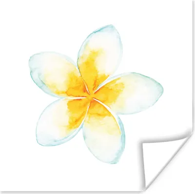 Produktbild von MuchoWow® Poster Aquarellfarbe - Blume - Tropisch 100x100 cm - Babyzimmer