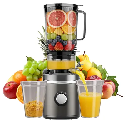 Image de Presse-fruits avec une ouverture de 135 mm, moteur de 250 W, fonctionnement à froid, idéale pour les fruits entiers, et adaptée pour le lait de fruits