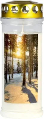Produktbild von Gedenkkerze Winterwald 75x210mm