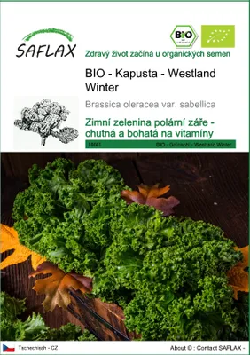 Obrázek produktu pro SAFLAX - BIO - Kapusta - Westland Winter - Brassica oleracea var. sabellica - 70 Semena