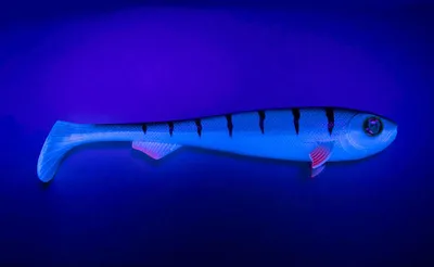 Produktbild von Fox Rage Super Slick Shad UV - 2 Gummifische, Farbe:UV Young Perch, Länge:23cm