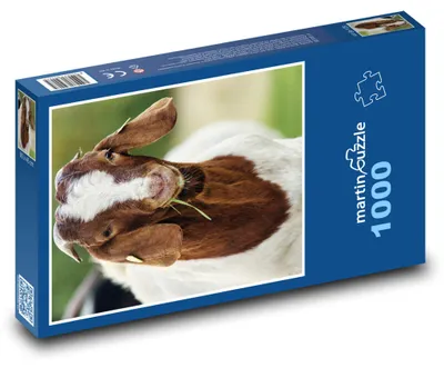 Obrázek produktu pro martinpuzzle - Puzzle 1000 - Koza