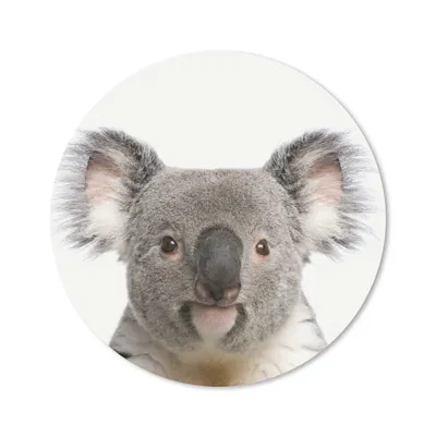 Produktbild von MuchoWow® Mauspad Mousepad Koala - Koala Bär - Mädchen - Jungen - Tiere 30x30 cm - Mousepads - Maus Mat - Pad - Mausunterlage - Tischunterlage - Schreibtischmatten