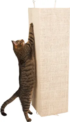 Produktbild von Kerbl Sisal Kratzbrett Kevin, 100x56cm, beige; 81558