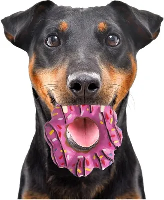 Produktbild von HappyPet Vinyl Donut - Spielzeug Donut happypet