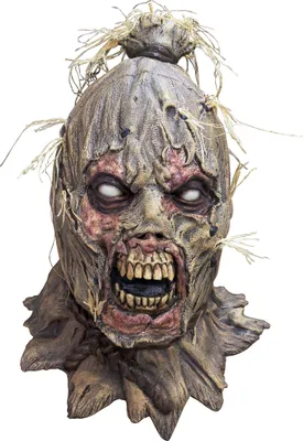 Produktbild von Zombiescheuche