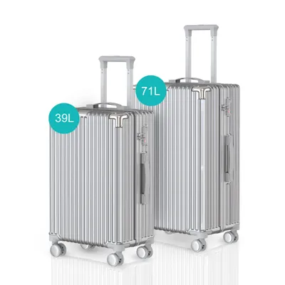 Two silver suitcases of different sizes are shown against a white background.