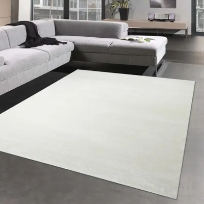 Produktbild von Hell-dunkel Effekt Teppich für Gästezimmer | flauschig | creme Größe - 120x170 cm