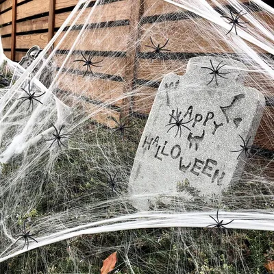 Vögel-Futterspender, Hauptbild