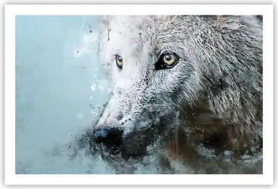 Produktbild von Poster - Poster ohne Rahmen - Weiß Der Wolf Bild - 91,5x61 cm - Wand Bild - Wanddeko - Wandbilder - Kunstposter - Wandposter - Bilder - Kunstdruck - Wanddekoration - Wandbild - P2XAA91x61-4623
