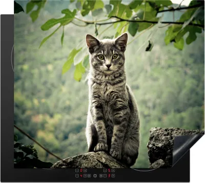 Produktbild von KitchenYeah© Herdabdeckplatte Katze - Stein - Wald , 59x52cm, Küche Deko, Glaskeramikkochfeld Herdabdeckung, Abdeckplatte fùr Kochfeld