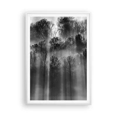 Produktbild von Gerahmtes Poster - Weißer Rahmen - Bäume drinnen Nebel - 70x100 cm - Wand Bild - Wanddeko - Wandbilder - Kunstposter - Wandposter - Bilderrahmen - Bilder - Kunstdruck - P2WPA70x100-4889