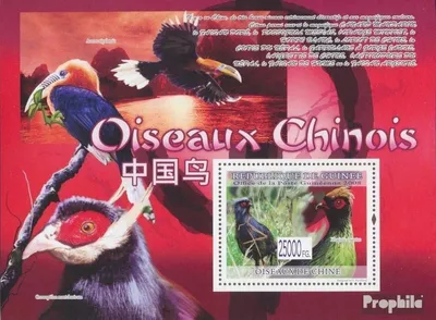 Produktbild von Briefmarken Guinea 2008 Mi Block 1619 (kompl. Ausgabe) postfrisch Vögel, Ithaginis cruentus