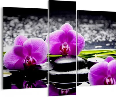 Produktbild von Bild auf Leinwand - Leinwandbild - Orchidee Natur Wasser Blume - 95x80cm - Wand Bild - Wanddeko - Leinwanddruck - Bilder - Kunstdruck - Wanddekoration - Leinwand bilder - Wandkunst - CB95x80-2658
