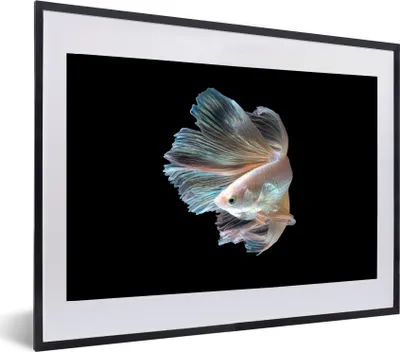 Produktbild von MuchoWow® MuchoWow® Gerahmtes Poster Fisch - Schwanz - Schwarz 60x40 cm - Poster mit zchwarzem Bilderrahmen - Schlafzimmer - Plakat in Rahmen - Drucken