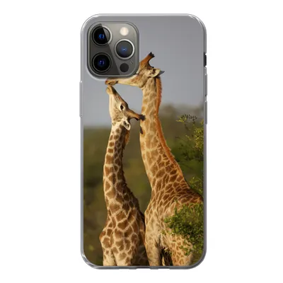 Produktbild von MuchoWow® Handyhülle Schutzhülle Hülle für iPhone 13 Pro Giraffe - Baum - Kalb - Porträt Silikon Softcase Handy Hülle - Handy-Tasche