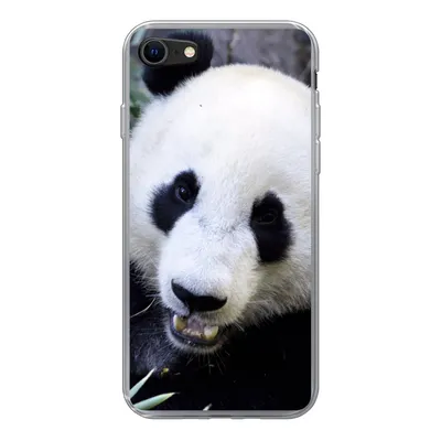 Produktbild von MuchoWow® Handyhülle Schutzhülle Hülle für iPhone 8 Panda - Tier - Blätter Silikon Softcase Handy Hülle - Schutzhaube