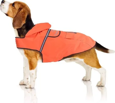 Produktbild von Wasserdichter Hundemantel mit Kapuze S orange