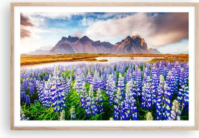 Produktbild von Gerahmtes Poster - Rahmen in heller Eiche - Berge Wiese Blumen - 91,5x61 cm - Wand Bild - Wanddeko - Wandbilder - Wandposter - Bilderrahmen - Bilder - Kunstdruck - Wandbild - P2NAA91x61-4114