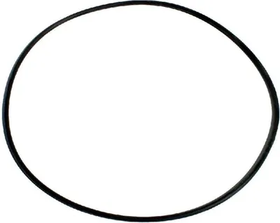 Zdjęcie produktu dla Pierścień uszczelniający Oase pot filter O-ring NBR 304 x 7 SH40