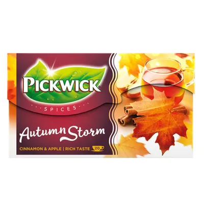 Produktbild von Pickwick Spices Autumn Storm Schwarzer Tee 20 x 2g