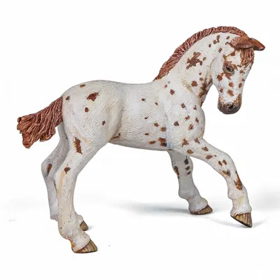 Image de Papo Figurine Manz Rasa Appaloosa