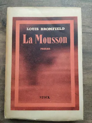 Image de La mousson