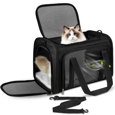 Immagine prodotto di Borsa pieghevole per il trasporto di animali domestici, adatta a gatti e cani fino a 5 kg