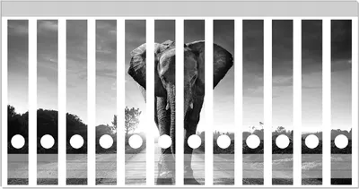 Produktbild von Wallario Ordnerrücken Sticker, selbstklebend für schmale Ordner, 12 Stück, Motiv Elefant bei Sonnenaufgang in Afrika schwarzweiß