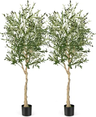 Zdjęcie produktu dla Sztuczne drzewa oliwne, 182 cm, 1296 liści, 72 oliwki