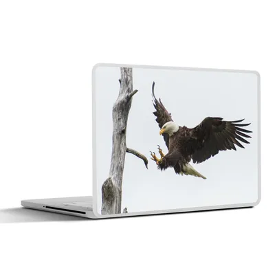 Produktbild von MuchoWow® Laptop Aufkleber Sticker Cover Amerika - Vogel - Weißkopfseeadler 40x30 cm - Laptop Dekoration - Selbstklebend