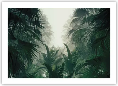 Produktbild von Poster - Poster ohne Rahmen - Dschungel Blätter Palmen - 70x50 cm - Wand Bild - Wanddeko - Wandbilder - Kunstposter - Wandposter - Bilder - Kunstdruck - Wanddekoration - Wandbild - P2XAA70x50-4504