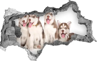 Produktbild von Selbstklebender Loch-3D-Aufkleber 95x73 cm Husky Welpen
