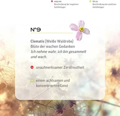 Produktbild von Bachblüten Tropfen N°9 - Clematis | Weisse Waldrebe 20ml