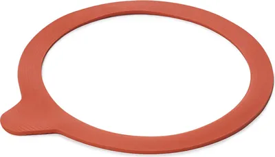 A single red rubber sealing ring for canning jars, shown on a white background.