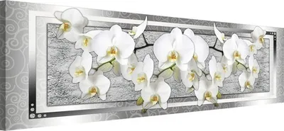Produktbild von Leinwandbild Orchidee I 45x145 cm