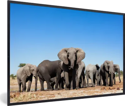 Produktbild von MuchoWow® MuchoWow® Gerahmtes Poster Elefanten - Tiere - Wasser 30x20 cm - Poster mit zchwarzem Bilderrahmen - Kunstdruck - Bild-Poster