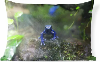 Produktbild von MuchoWow® Outdoor Kissen - Blauer Frosch im Dschungel - 60x40 cm - Wetterfest - Lounge Kissen - Zierkissen - Kissen für Innenräume