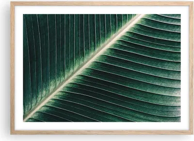 Produktbild von Gerahmtes Poster - Rahmen in heller Eiche - Grün Blatt Tropisch - 70x50 cm - Wand Bild - Wanddeko - Wandbilder - Wandposter - Bilderrahmen - Bilder - Kunstdruck - Wandbild - P2NAA70x50-4126